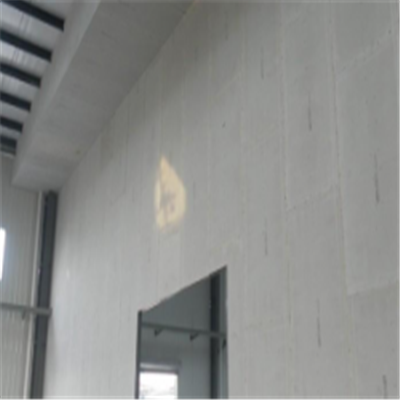 正定宁波ALC板|EPS加气板隔墙与混凝土整浇联接的实验研讨